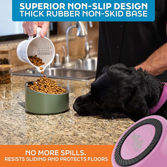 Master Pet Supply Stainless Steel Slanted Dog Cat Food Bowl - 24 oz Heavy Duty - Hyper Pink, Double Wall Insulated, Non-Slip Elevated Bowl for French Bulldogs Pugs Cats, Anti Rust Dishwasher Safe