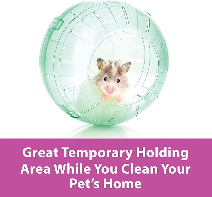 Kaytee 11.5" Clear Run-About Exercise Ball For Pet Rats & Chinchillas