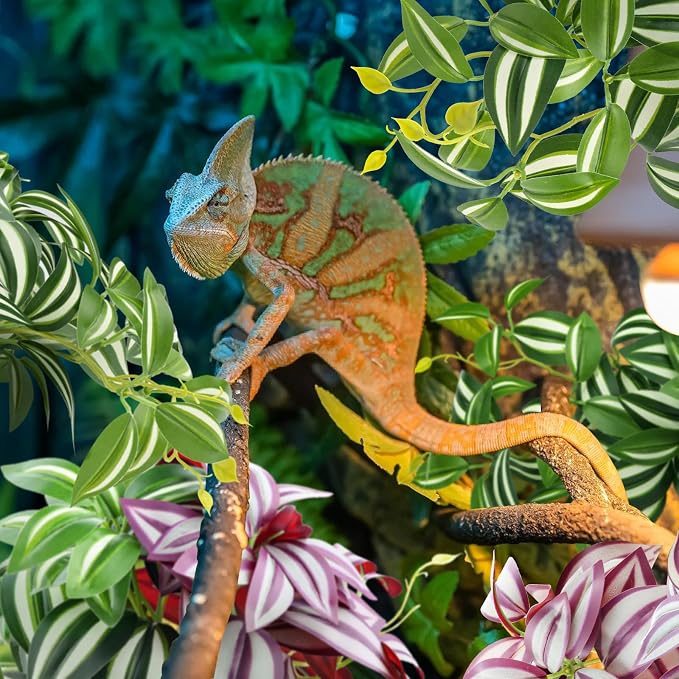 QUOZUO 2 Pack Reptile Plants, Artificial Hanging Plants with Suction Cups, Habitat Decor Plastic Vines Decorations for Bearded Dragons Lizards Snake Geckos Frogs -Purple and Green