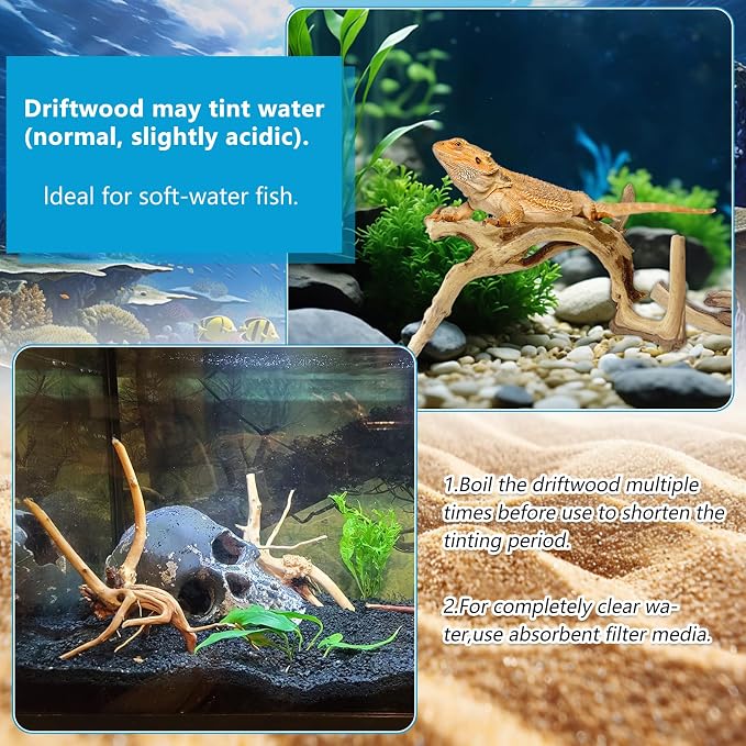 10 Pcs Large Natural Spider Wood for Aquarium 4-6", Aquarium Drift Wood, Assorted Size Spider Wood, Twisted Branches Trunk for Fish Tank, Aquascaping, Reptile Climbing Branch, Terrarium Decor