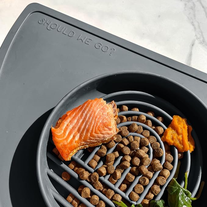 Should We Go? Slow Feeder for Dogs & Puppies, The Slowdown Bowl Silicone Slow Eating, Modern Lick Mat Design, Reduces Gulping, Fits 2 Cups, 7.5” Across x 1.5” Tall, Mealtime Challenge, Medium-Charcoal