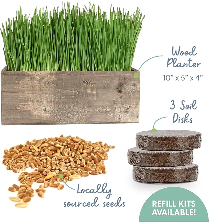 The Cat Ladies Cat Grass Kit Complete with Rustic Wood Planter, Organic Seed and Soil. Easy to Grow - Great for Indoor or Outdoor Cat, Dogs and Other Pets. Prevent Hairballs and Aid Digestion