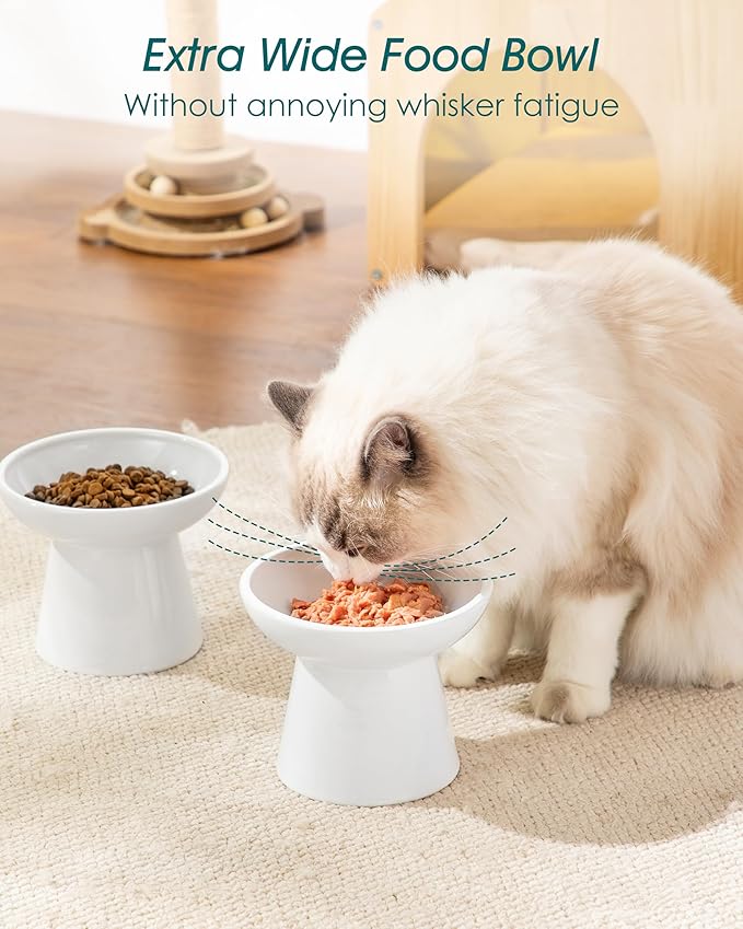 vancasso Elevated Cat Food Bowls 2-Pack, 6.2" Wide Shallow Cat Feeding Bowl for Whisker Fatigue, 5.1" Height Ceramic Raised Food Bowls for Senior Cats, Anti Vomit, White
