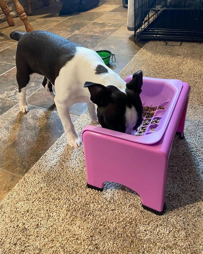 Fluff Trough Elevated Slow Feeder Dog Bowls | Slow Feeder Cat Bowl with Vet Approved & Non-Toxic Silicone Minimizes Neck Strain | Paced Eating Insert Designed for Flat-Faced Pets (Purple)