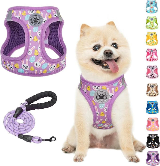 BEAUTYZOO Easter Dog Harness and Leash Set,Step in No Choke No Pull Soft Mesh Dog Harnesses Reflective for XSmall/Small Puppy Dogs Cats, Cute Coloful Egg Dog Vest for Outdoor Walking,Purple S
