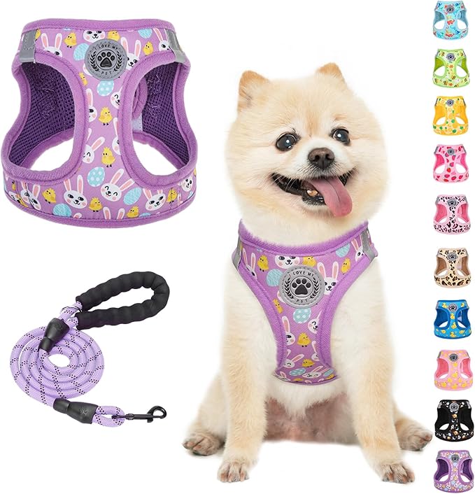 BEAUTYZOO Easter Dog Harness and Leash Set,Step in No Choke No Pull Soft Mesh Dog Harnesses Reflective for XSmall/Small Puppy Dogs Cats, Cute Coloful Egg Dog Vest for Outdoor Walking,Purple XS