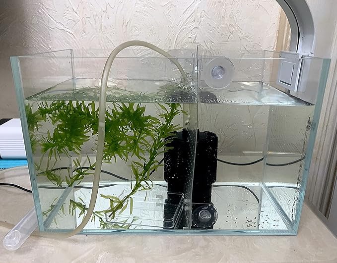 AWXZOM Small Nano Tall Rimless Tank, Glass Fish Tank, Betta Fish Tank, Aquarium (2.85 Gal, 11.8x6.7x7.8 inch)