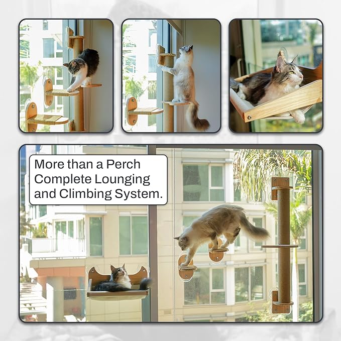 4-in-1 Window & Wall Mount Cat Wall Shelves – Hammock, Scratching Post & Perch | Fits up to 40 lbs | Space-Saving Pet Furniture for Windows, Glass & Drywall | Modern Wood Cat Shelf Set