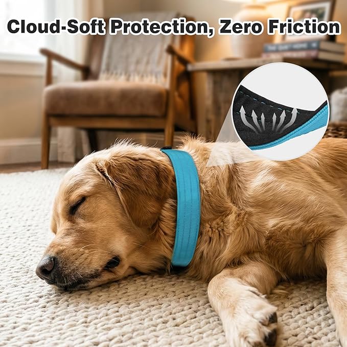 Joytale Tactical Dog Collar for X-Large Dogs with Control Handle, Heavy Duty Military Training Collar for Power Breeds, AirTag Holder Case, Quick Release Metal Buckle, Soft Padded, XL, Sky Blue