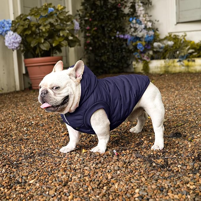 Vecomfy Fleece Lining Extra Warm Dog Hoodie in Winter for Large Dogs Jacket Pet Coats with Hooded,Blue XXXL