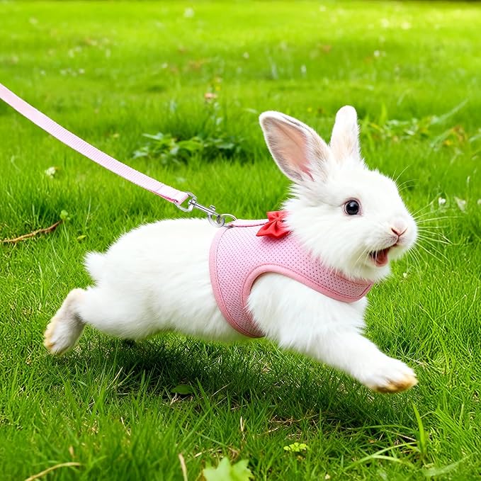 Breathable Rabbit Harness and Leash Set, Rabbit Harness and Bunny Leash Set, Soft Breathable Mesh VestHarness for Rabbits, Kitten, Ferret, Small Pig, Puppy, Small Pets (Pink,M)