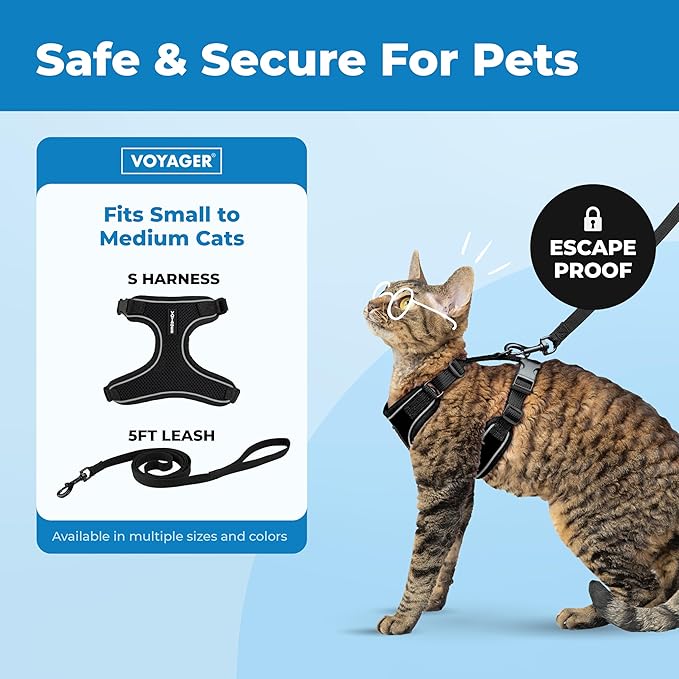 Voyager Escape-Proof Step-in Lock Cat Harness & 5ft Neoprene-Handle Leash Set All-Weather Mesh with Reflective Stitching for Small to Large Cats by Best Pet Supplies, Black (327), M