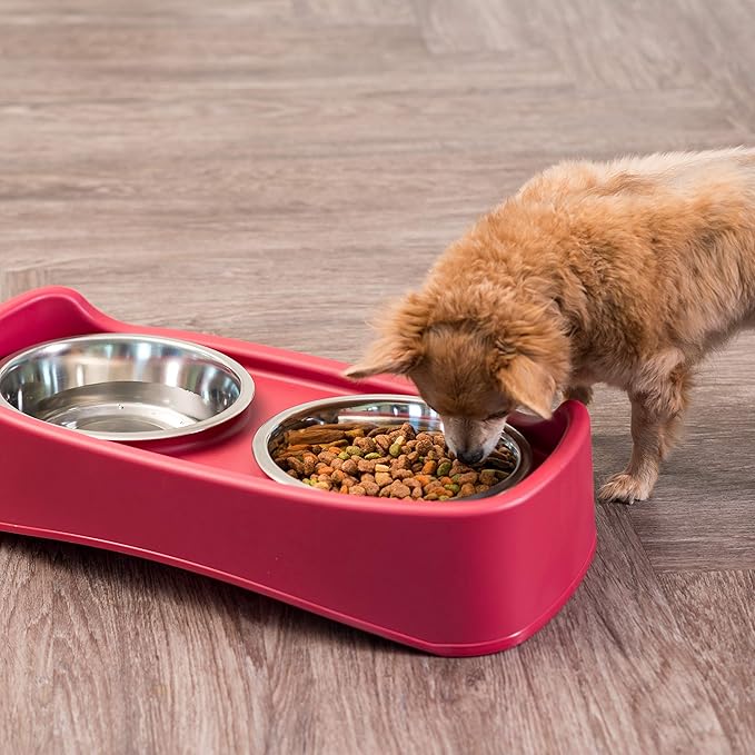 IRIS USA Elevated Dog Bowls Adjustable Stand, Raised Feeding Station with 2 Stainless Steel 64 oz Bowls, Spill Guard, Dual Height 12.25" or 4.63", Made in USA, Red
