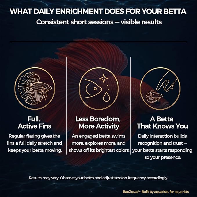 Betta Exercise Kit, Betta Fish Toys, 2 Training Wands and Mirror | Shatterproof acrylic mirror, interactive flaring and enrichment toys, fits any tank or bowl, gift set for betta lovers