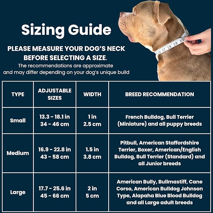 Heavy Duty Dog Collar, Tactical Dog Collar, Dog Collars for Medium Dogs, Waterproof Dog Collar, Dog Training Collar, Quick-Release Metal Buckle, Adjustable Sizes – BULLYBREED (Navy Blue, Medium)