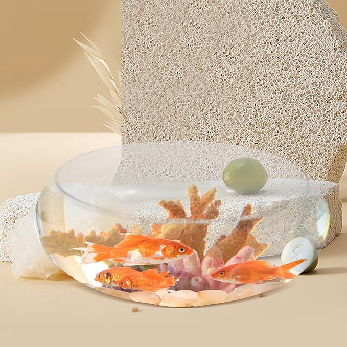 Sewroro Glass Fish Bowl Small Fish Tank Desktop Aquarium for Goldfish Clear Hydroponic Plant Pot Shallow Glass Bowl for Home Office Garden Wedding Anniversary Birthday Decor
