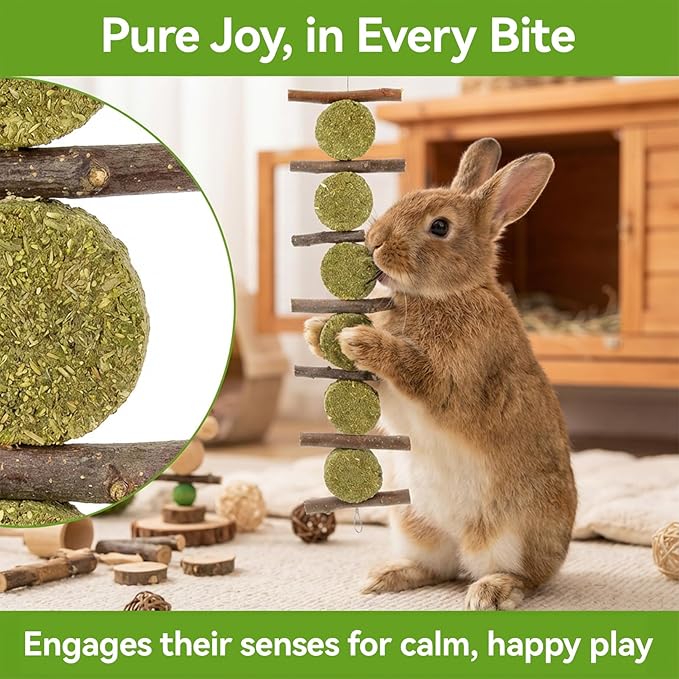 MAQIHAN Rabbit Chew Toys for Teeth -Bunny Treats for Dental Grinding Natural Apple Wood Sticks Timothy Hay Cake Lollipop Enrichment for Rabbit Cage Chinchilla Toys Guinea Pig Gerbil Rat Cage 4PCS
