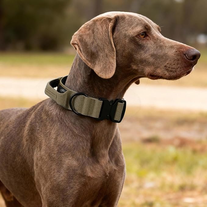 Tactical Thick Dog Collar, Adjustable Training Nylon Dog Collar, Heavy Duty Metal Buckle & Control Handle for Small Medium Large Dogs (M, Khaki)