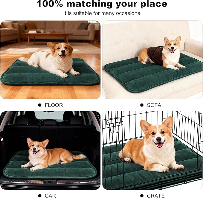 pobopobo Dog Crate Pad, Ultra Soft & Anti-Slip Kennel Mat, Secure Fit for Metal Crates & Dog Cages, Washable Cozy Bed for Small Medium Large Dogs (Green, M(28"*16"*1.5"))