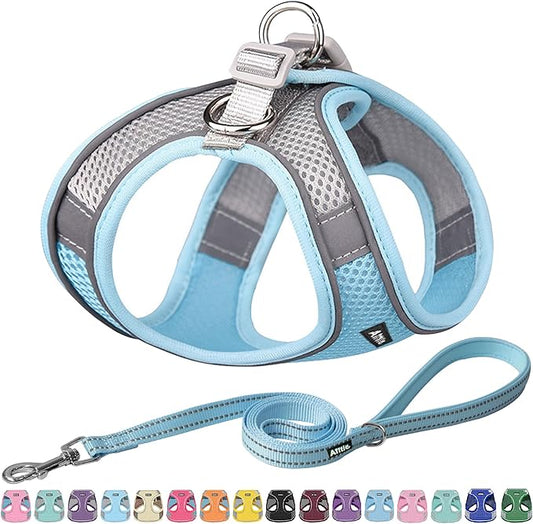 AIITLE Dog Harness, No-Pull Cat Harness with a Leash, Adjustable Reflective Dog Vest, Cat Harness Escape Proof, Outdoor Walking, Running,Training for Extra Small Dogs and House Cats Blue XXXS