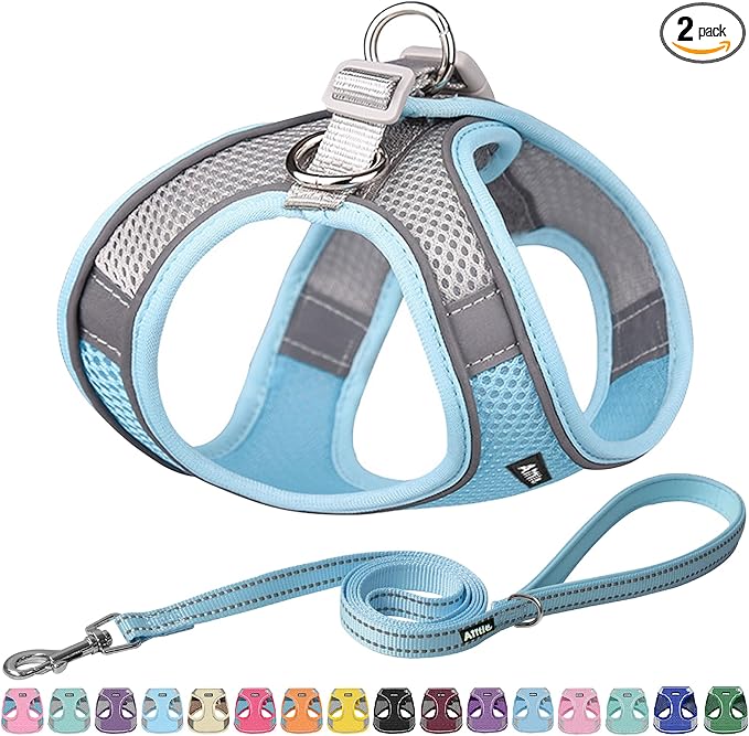 AIITLE Easy Walk Dog Harness and Leash Set - Pet Supply No Pull, Step in Adjustable Dog Harness with Padded Vest, Dog Harness No Choke Over, Easy to Put on Medium Dogs Blue L