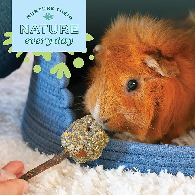 Oxbow Enriched Life Crunchy Carrot, Natural Paper Chew Toy for Rabbits, Guinea Pigs, and Hamsters, Promotes Dental Health and Foraging, Safe Enrichment Accessory, Small Pet Chew