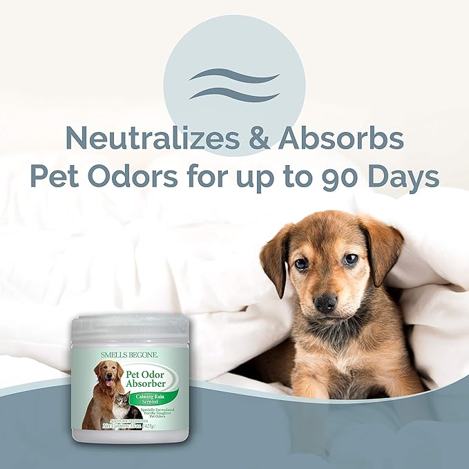 SMELLS BEGONE 15oz Gel Pet Odor Eliminator - Absorb & Remove Strong Odors from Pets, Cat Litter, Dog Poop, Urine Smells - Eliminate Whole Home Odors with Essential Oils (Calming Rain, 2-Pack)