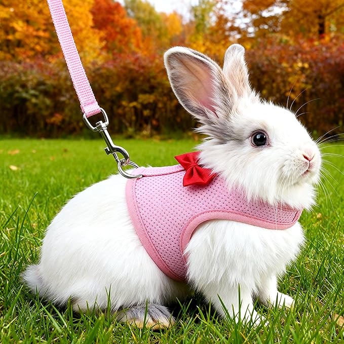 Breathable Rabbit Harness and Leash Set, Rabbit Harness and Bunny Leash Set, Soft Breathable Mesh VestHarness for Rabbits, Kitten, Ferret, Small Pig, Puppy, Small Pets (Pink,M)