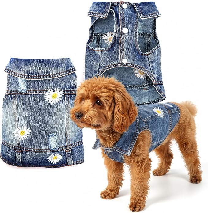 Pawstrip Dog Denim Jacket with Embroidered Daisy, Ripped Vintage Jean Vest for Small Dogs, Puppy, Pugs, Chihuahuas, Spring Summer Fall Festival Outfit, Small (Fits Chest 11-12")