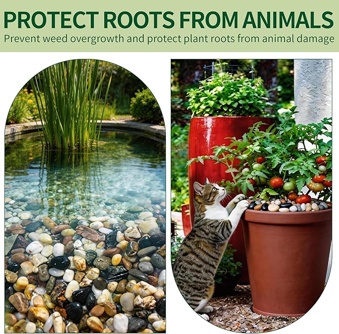 Small Rocks for Plants，3/8" Small Pebbles，1lbs Small River Rocks Decorative Pea Gravel，Pebbles for Indoor Plants, Vases, Bamboo, Succulent, Terrarium, Crafts, Cactus