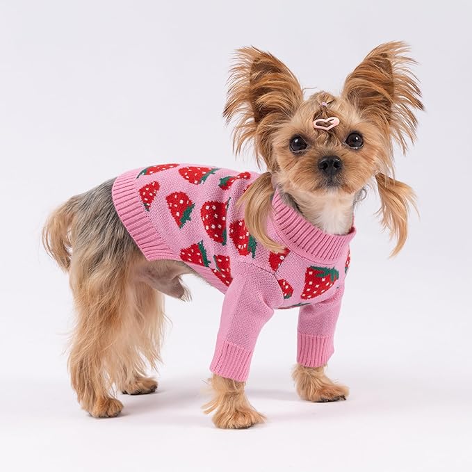 Fitwarm Adorable Strawberry Dog Sweater, Thermal Dog Winter Clothes for Small Dogs Girl, Pet Outfit, Pink, Red, White, Green, Large