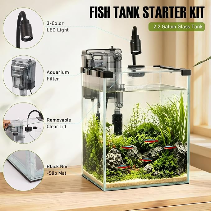 2.2 Gallon Small Glass Fish Tank Kit | Hang on Back Aquarium Filter, 3-Color LED Light, Glass Betta Fish Tank Kit with Removable Clear Lid and Non-Slip Mat