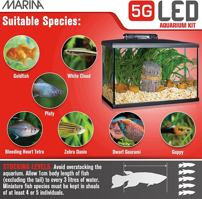 Marina 5 Gallon (19 L) LED Aquarium Kit | Ideal for Beginner Aquarists and New Fish-Keepers