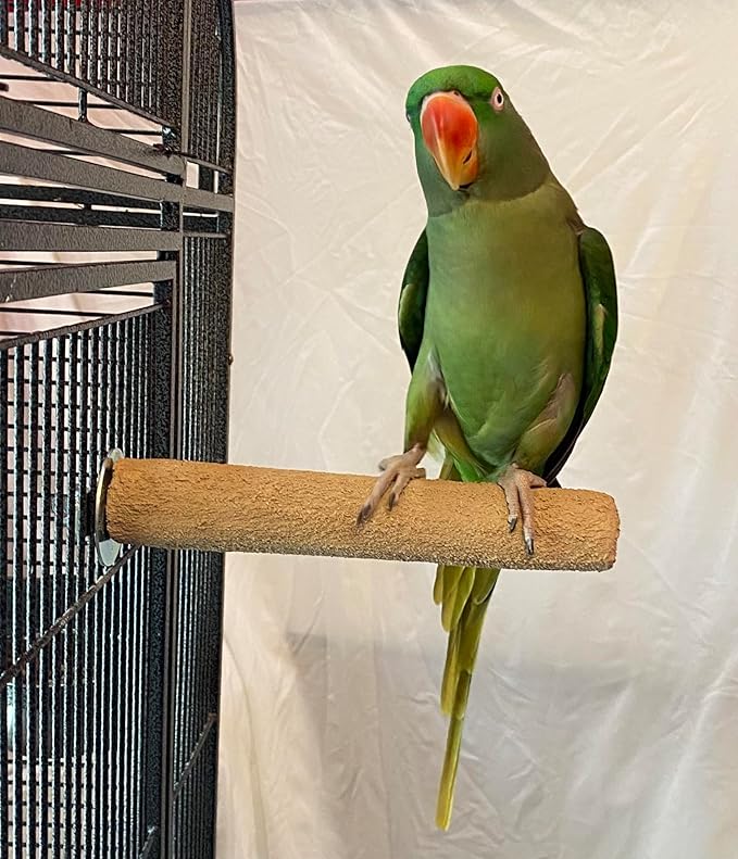 Polly's Pastels Nail Trimming & Beak Conditioning Safety Perch for Cockatiels, Cockatoos, Macaws, Parakeets, Budgies, Parrots and All Other Birds (Brown, Medium-1 1/4" Dia. x 8" Long)