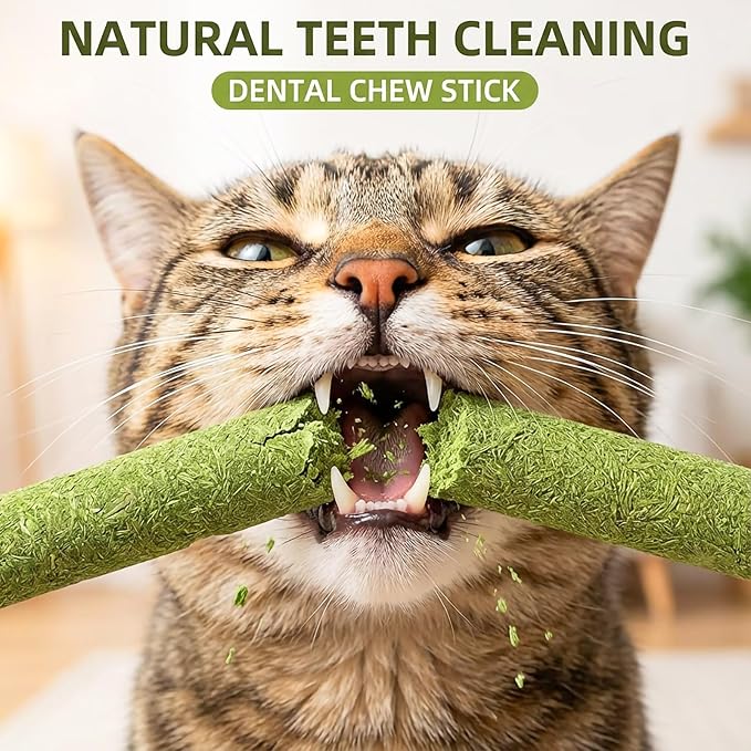 6Pcs Cat Toys Cats Grass Treat for Indoor Cat Edible Grass Kitten Toys Kitty Chew Grass Sticks for Teeth Kitten Snack