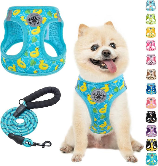BEAUTYZOO Small Dog Harness and Leash Set,Step in No Choke No Pull Soft Mesh Dog Harnesses Reflective for Extra-Small/Small Medium Puppy Dogs and Cats,BlueDuck S