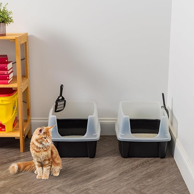 IRIS USA Cat Litter Box Large Open Top with High Sided Walls Tall Scatter Shield Scoop Included Easy Clean Plastic Pan Stain Resistant for Cats Kittens Indoor Multi-Cat Households 2-Pack Black