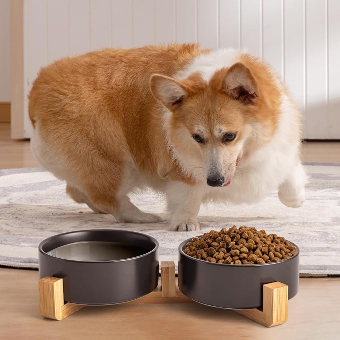 Mowtanco Black Ceramic Dog & Cat Bowl Set – 13.5 OZ with Wooden Stand, Non-Slip, Elevated Design for Small Dogs & Cats – 2 Bowls (Food & Water, Ceramic Pet Bowls, Modern Dog Bowls)
