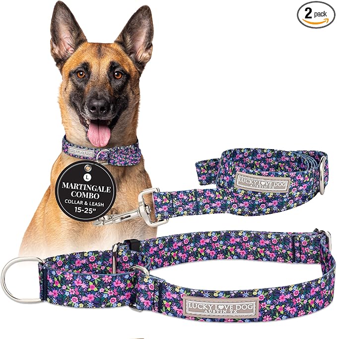 Lucky Love Dog Martingale Dog Collar & Leash - Adjustable, No-Slip, Durable, Comfortable, Soft Webbing, & Stylish Patterned Collar & Leash Set for Male and Female Dogs - Primrose Combo, Large