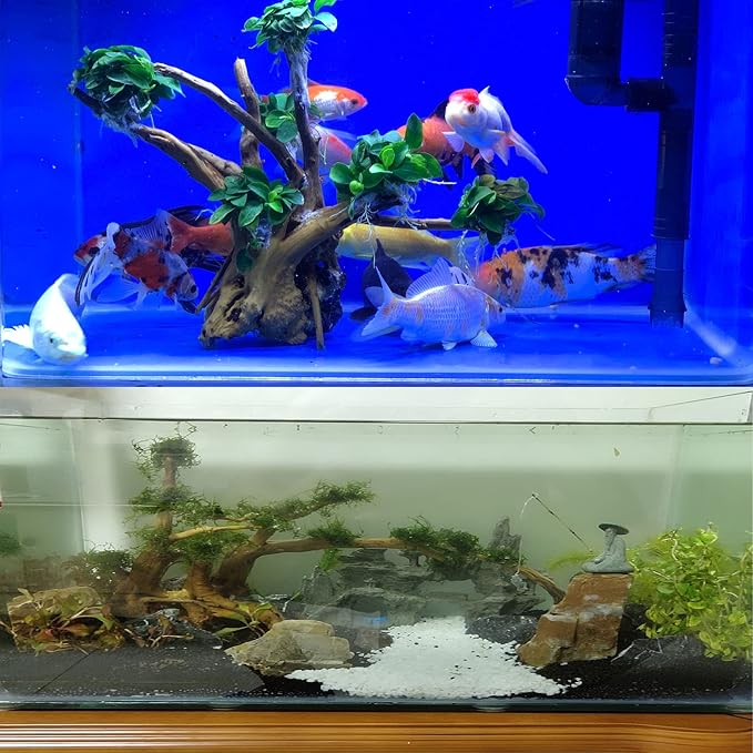 kathson Aquarium Driftwood Reptile Branches Wood Natural Spiderwood Driftwood for Aquarium 7-8" 5 Pcs Terrarium Ornament Trunk Fish Tank Log Habitat Decoration Tree Stump Decor Assorted Sizes Wood