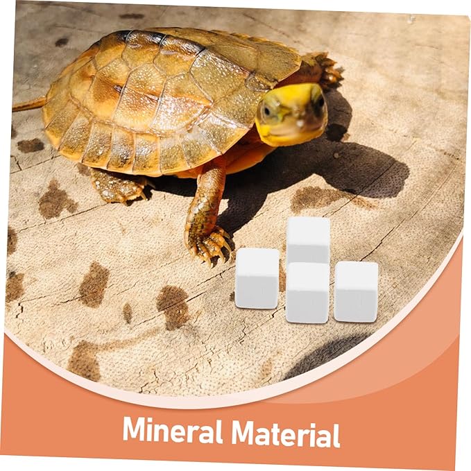 BESPORTBLE 6pcs Mineral Block Chew Toy for Birds Reptiles Turtles Pets Nutrient Source for Health Digestion and Immune Support