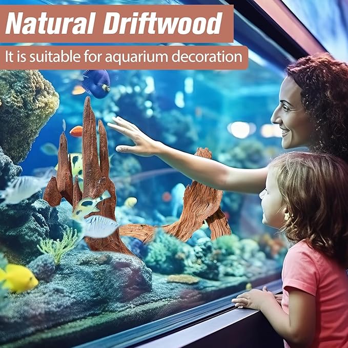 3-Piece 6-10 inch Natural Aquarium Driftwood Decorations - Aquascape Decor for Fish Tanks, Betta Hideouts, Reptile Enclosures & Plant Attachment