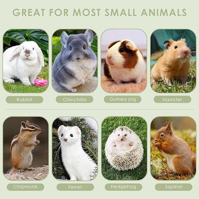 ERKOON Chinchilla Treats, Chew Toys for Teeth for Rabbit Guinea Pig Gerbil Rat Dwarf Hamster(Small Size-2 Pack)
