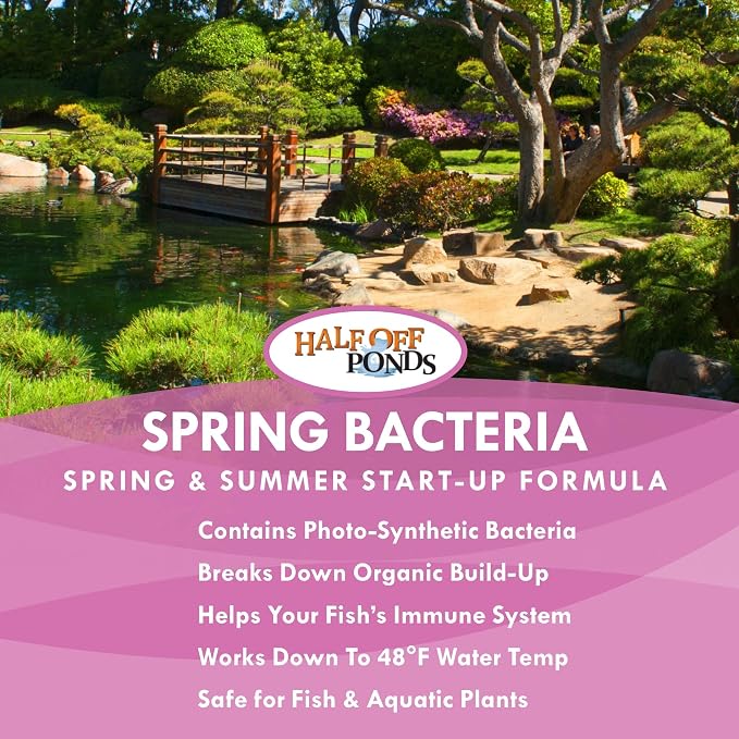 Spring Pond Bacteria Treatment with Beneficial Bacteria & Enzymes, 1 Gallon | Spring start-up formula, boosts beneficial bacteria, breaks down sludge, fish and plant safe, ideal for biological filters