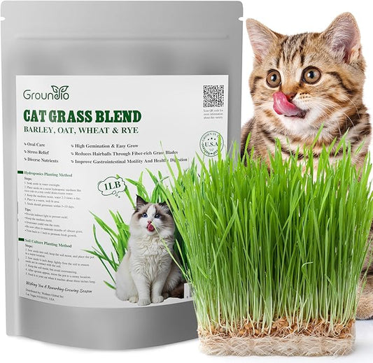 Cat Grass Seeds, 16OZ Non-GMO Barley, Oats, Wheat, Rye 4 Varieties Seed, Fast & High Germination, Heirloom Grown in USA for Indoor Cats