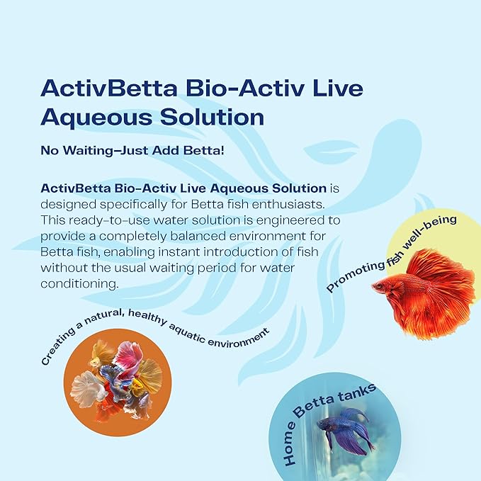 Activ Betta Water for Aquarium Décor, 33.8 fl.oz. - Premium Water Conditioner for Betta Fish Tanks, Enhances Water Quality and Aquatic Health (Pack of 2)