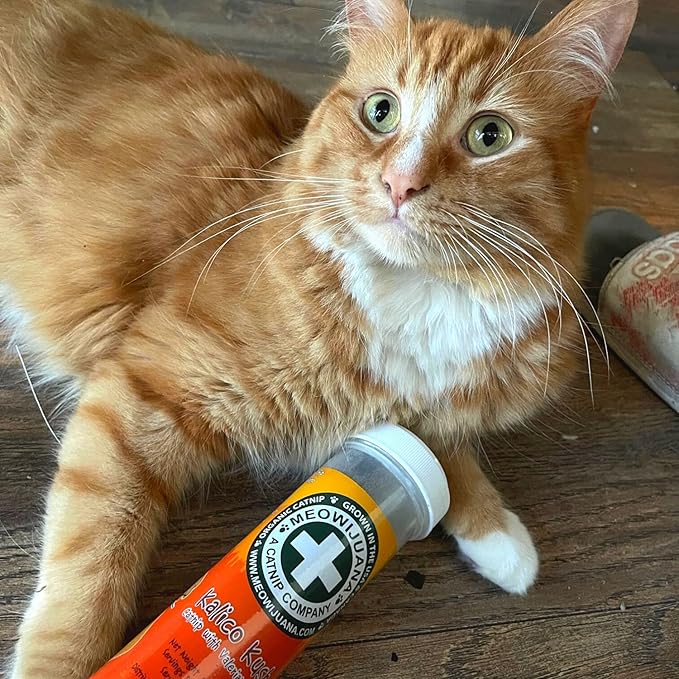 Meowijuana | Catnip Bundles | Organic | High Potency Cat Treats | Perfect for Cat Toys | Grown in The USA | Feline and Cat Lover Approved (Mice Dreams Catnip Bottle Bundle)