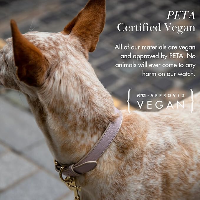 NINA WOOF Milan Vegan Leather Dog Collar - Padded Luxury Dog Collar with Adjustable Buckle - Collar for Dogs, for Small Dogs and Large Dogs - Color Lilac, Size Medium