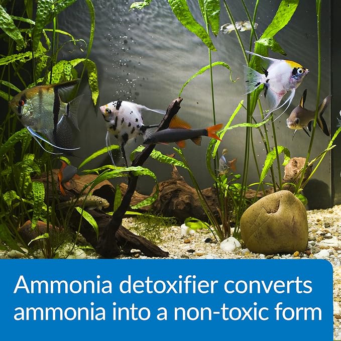 API AMMO LOCK Freshwater and Saltwater Aquarium Ammonia Detoxifier 1-Gallon Bottle