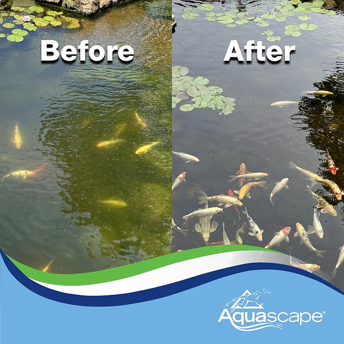 Aquascape 96022 Algaecide for Pond, Waterfall, and Water Features, 8-Ounce